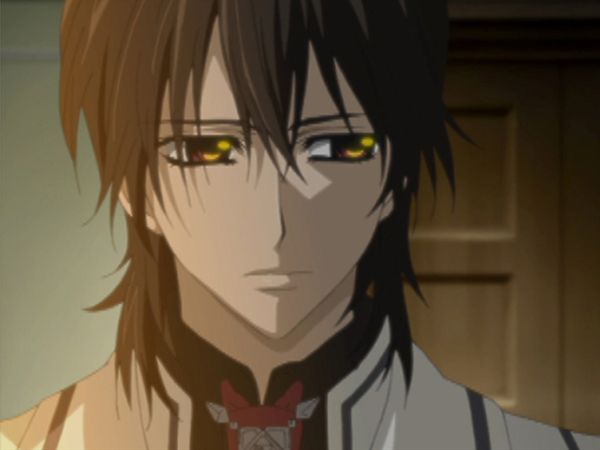 Vampire Knight (English Dubbed) - Trigger of Condemnation