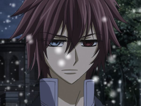Vampire Knight (English Dubbed) - Spiraling Recollections