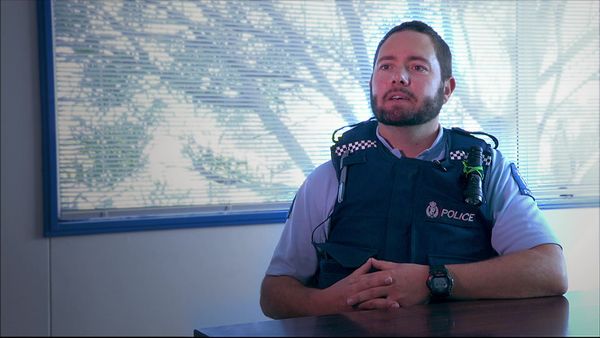 Serial Swindlers - David Nepia Carroll