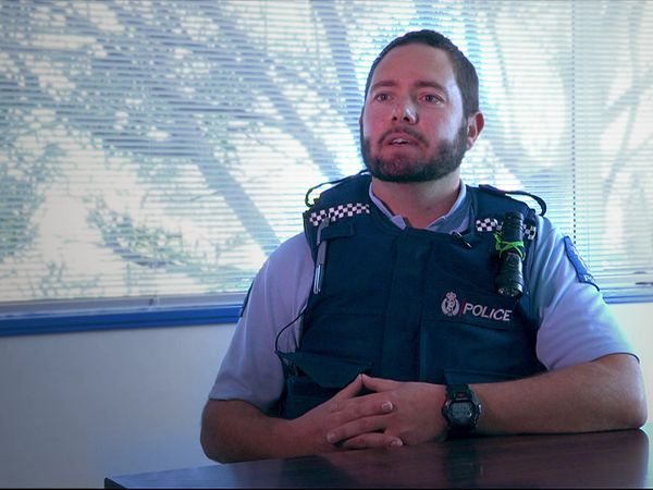 Serial Swindlers - David Nepia Carroll