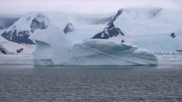 Kara and Nate - Daily Life On Board a Cruise in Antarctica