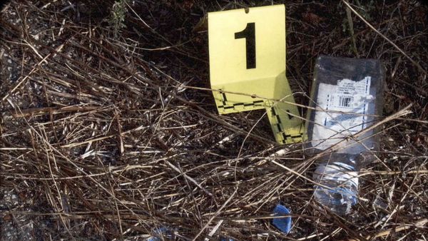 Accomplice to Murder With Vinnie Politan - TN v. Turner - The Deadly Game
