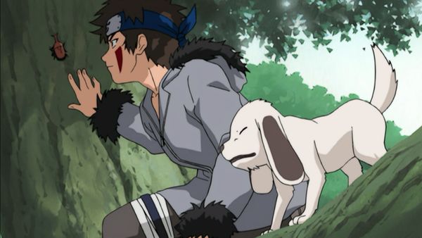 Naruto (English Dubbed) - What’s the Difference? Don’t All Insects Look Alike?