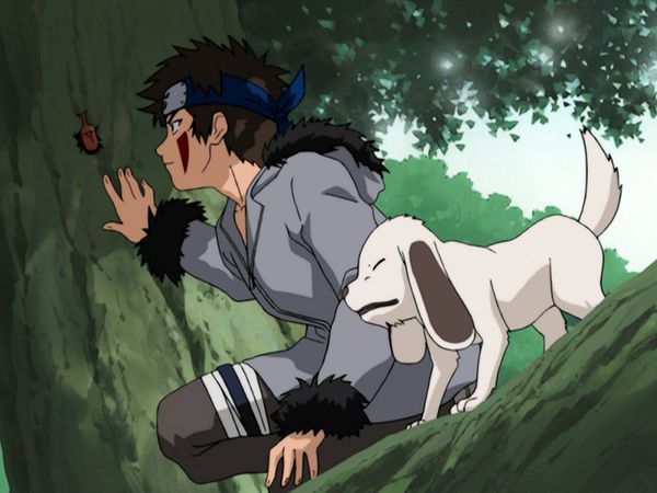 Naruto (English Dubbed) - What’s the Difference? Don’t All Insects Look Alike?