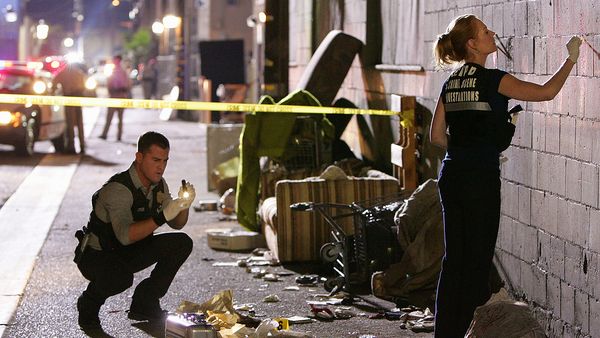 CSI: Crime Scene Investigation - Season 10 - Death And The Maiden