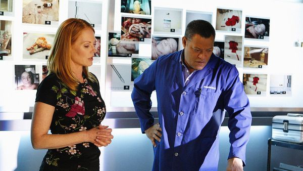 CSI: Crime Scene Investigation - Season 10 - Appendicitement