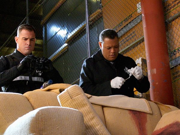 CSI: Crime Scene Investigation - Season 10 - Neverland
