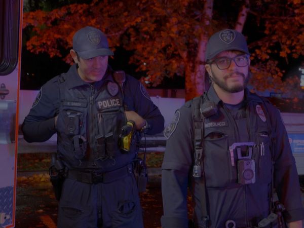 Police 24/7 - Episode 239