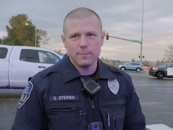 Police 24/7 - Episode 245
