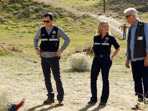 CSI: Crime Scene Investigation - Season 12 - Stealing Home