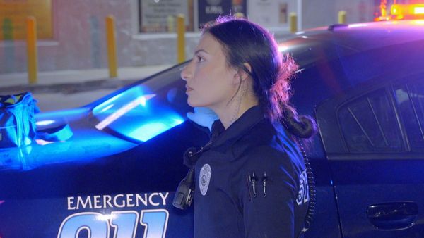 Police 24/7 - Avsnitt 247