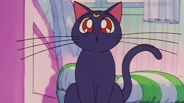 Sailor Moon (English Dubbed) - Punishment Awaits: The House Of Fortune Is The Monster Mansion