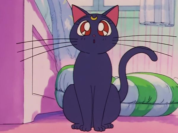 Sailor Moon (English Dubbed) - Punishment Awaits: The House Of Fortune Is The Monster Mansion