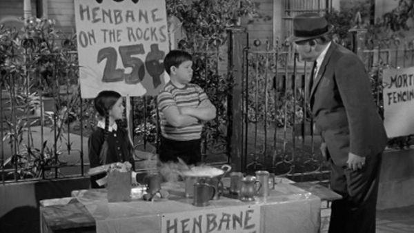 Die Addams Family - Gomez' Traum vom großen Geld
