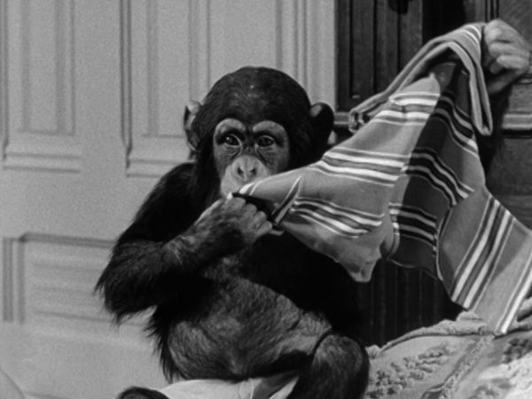 Die Addams Family - Onkel Festers Zauberformel: Pugsley ist verschwunden