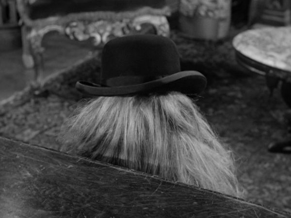 Die Addams Family - Cousin Itt, das Genie