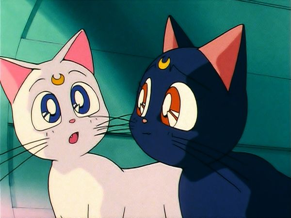 Sailor Moon (English Dubbed) - Artemis's Adventure: The Monster Animal Kingdom