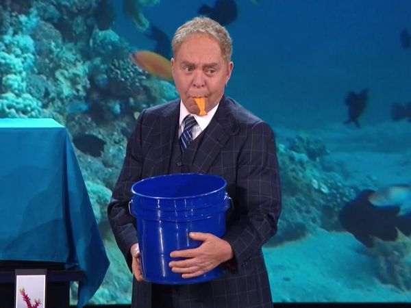 Penn & Teller: Fool Us - Penn & Teller Animal Style