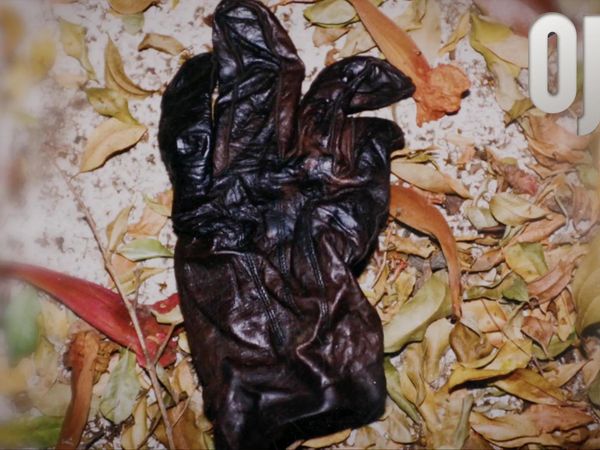 OJ25 - Black Leather Glove