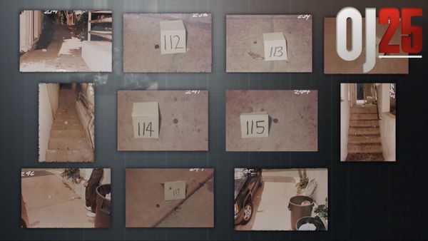 OJ25 - Proof Of Guilt