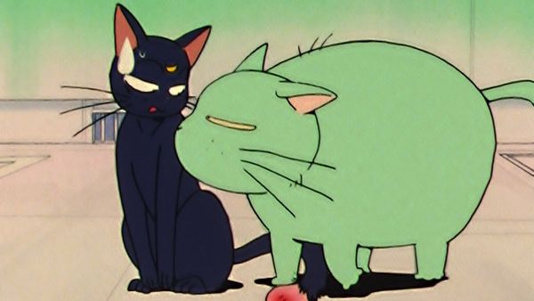 Sailor Moon (English Dubbed) - Loved and Chased: Luna's Worst Day Ever