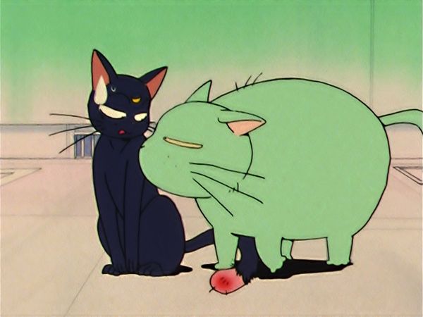Sailor Moon (English Dubbed) - Loved and Chased: Luna's Worst Day Ever