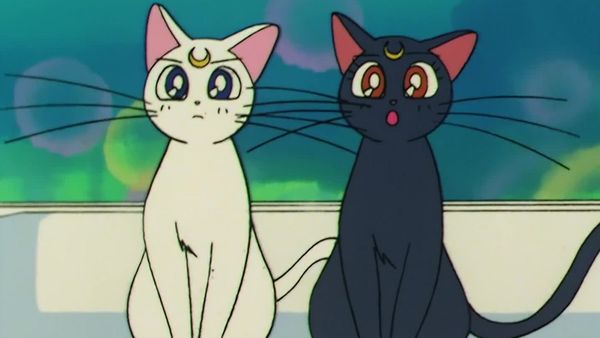 Sailor Moon (English Dubbed) - Sailor Venus's Past: Minako's Tragic Love