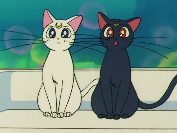 Sailor Moon (English Dubbed) - Sailor Venus's Past: Minako's Tragic Love
