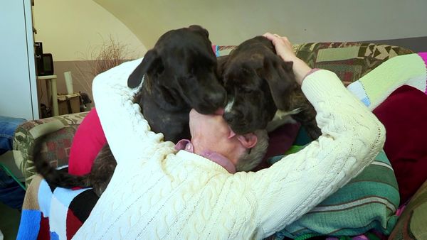 Paul O'Grady: For the Love of Dogs - Episode 2