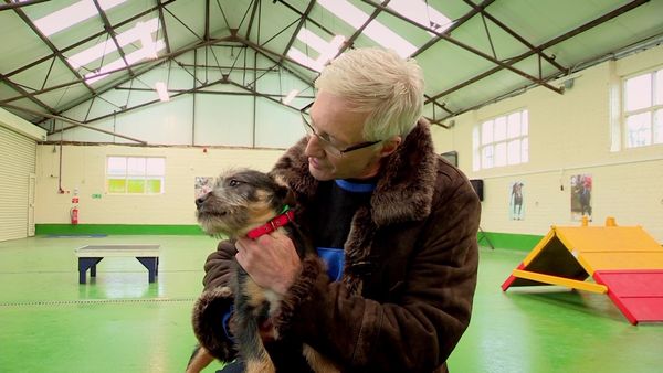 Paul O'Grady: For the Love of Dogs - Episode 4