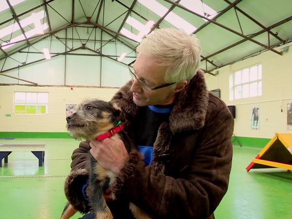 Paul O'Grady: For the Love of Dogs - Episode 4