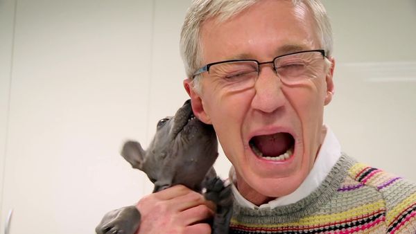 Paul O'Grady: For the Love of Dogs - Episode 7
