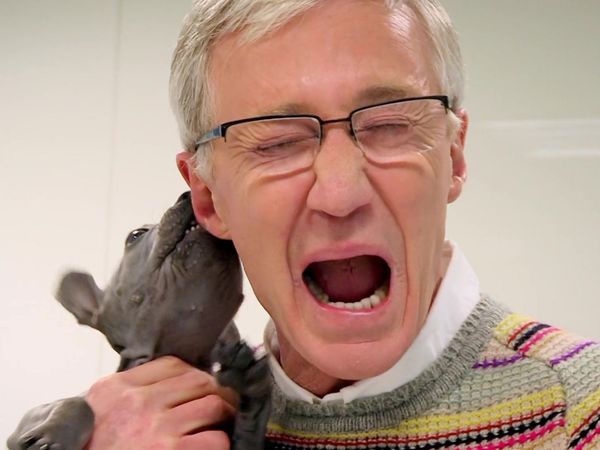 Paul O'Grady: For the Love of Dogs - Episode 7