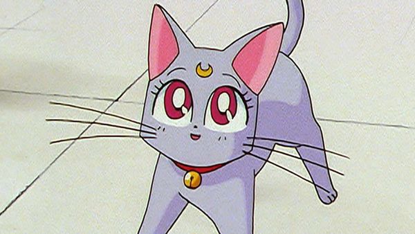Sailor Moon (English Dubbed) - Artemis is Cheating? Enter the Mysterious Kitten