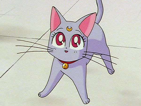 Sailor Moon (English Dubbed) - Artemis is Cheating? Enter the Mysterious Kitten