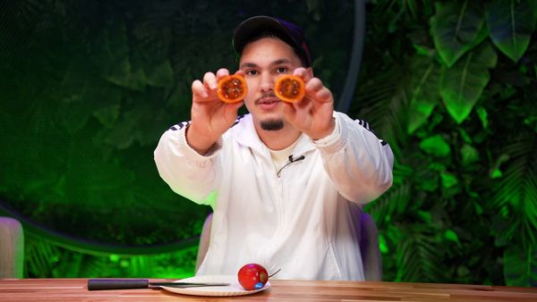 Adem & Bilal - Adem & Bilal - ON TESTE 20 FRUITS BIZARRES QUE PERSONNE NE MANGE !