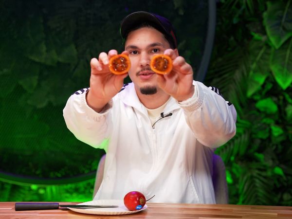 Adem & Bilal - Adem & Bilal - ON TESTE 20 FRUITS BIZARRES QUE PERSONNE NE MANGE !