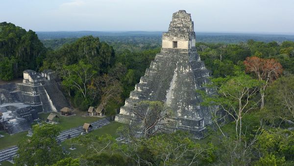 Wunderwerke der Weltgeschichte - Tikal