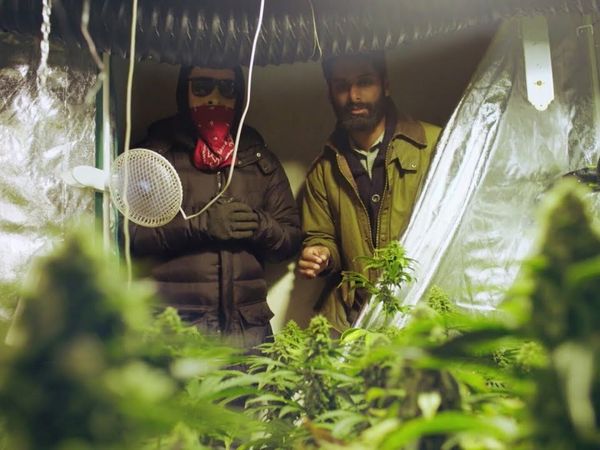 VICE in Italiano - Come i dealer di cannabis ad Amsterdam aggirano il limite dei 500g | WEEDIQUETTE
