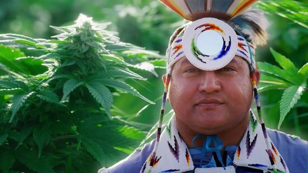 VICE in Italiano - L'iniziativa della tribù Paiute nel settore della marijuana | WEEDIQUETTE