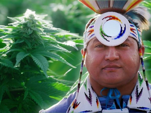 VICE in Italiano - L'iniziativa della tribù Paiute nel settore della marijuana | WEEDIQUETTE