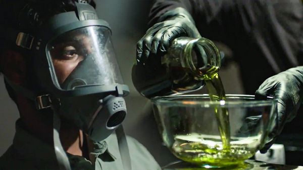 VICE in Italiano - Rischio la vita per coltivare cannabis medica | WEEDIQUETTE