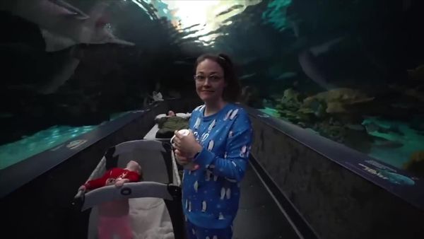 Kara and Nate - $20,000-Per-Night New York Penthouse / We Slept with Sharks