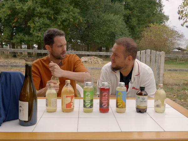 Morgan VS - Morgan VS - "J'ai créé mon Kombucha avec Laboiserie pour concurrencer Squeezie ! (Lequel est le meilleur ?)"