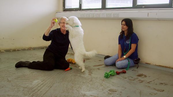 Paul O'Grady: For the Love of Dogs - Episode 6