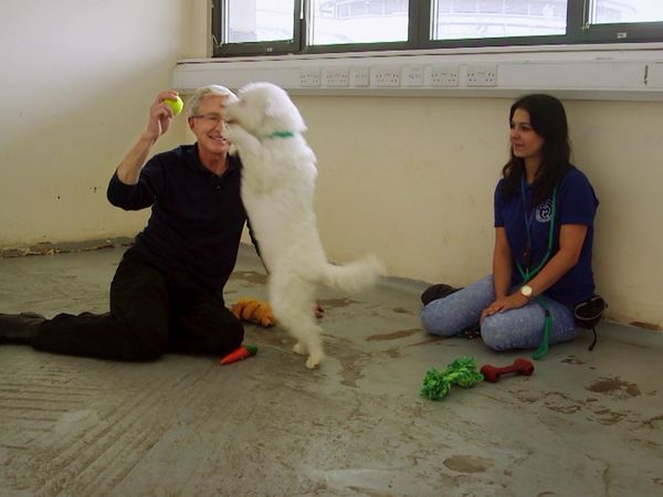 Paul O'Grady: For the Love of Dogs - Episode 6