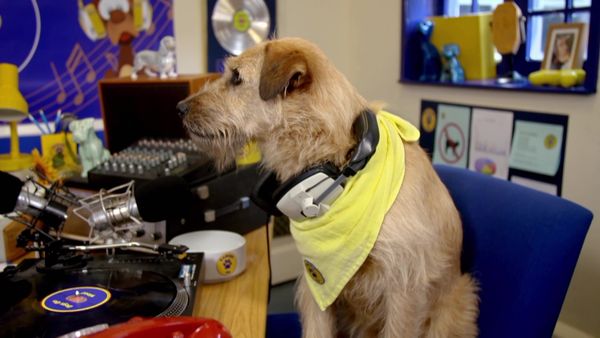 Paul O'Grady: For the Love of Dogs - Episode 1