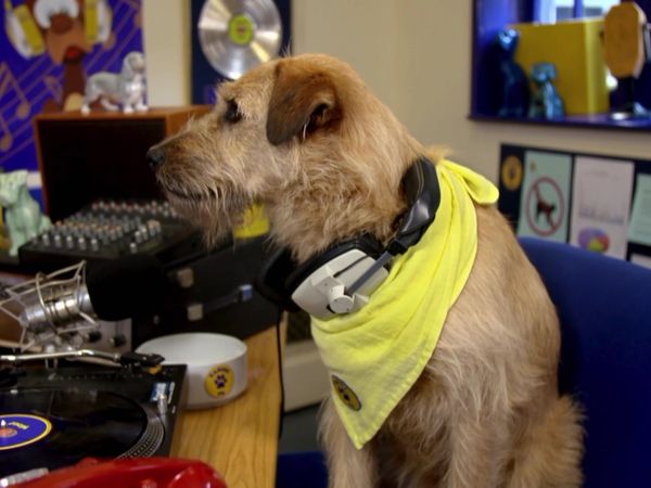 Paul O'Grady: For the Love of Dogs - Episode 1