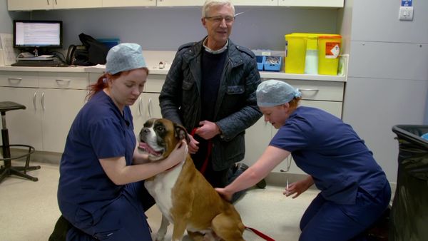 Paul O'Grady: For the Love of Dogs - Episode 3
