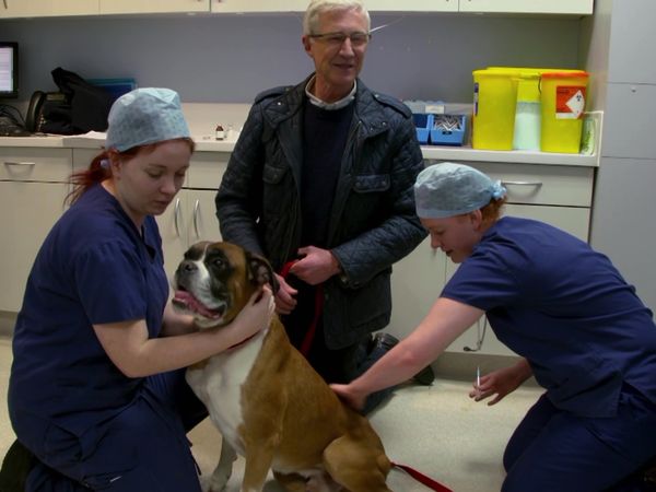 Paul O'Grady: For the Love of Dogs - Episode 3